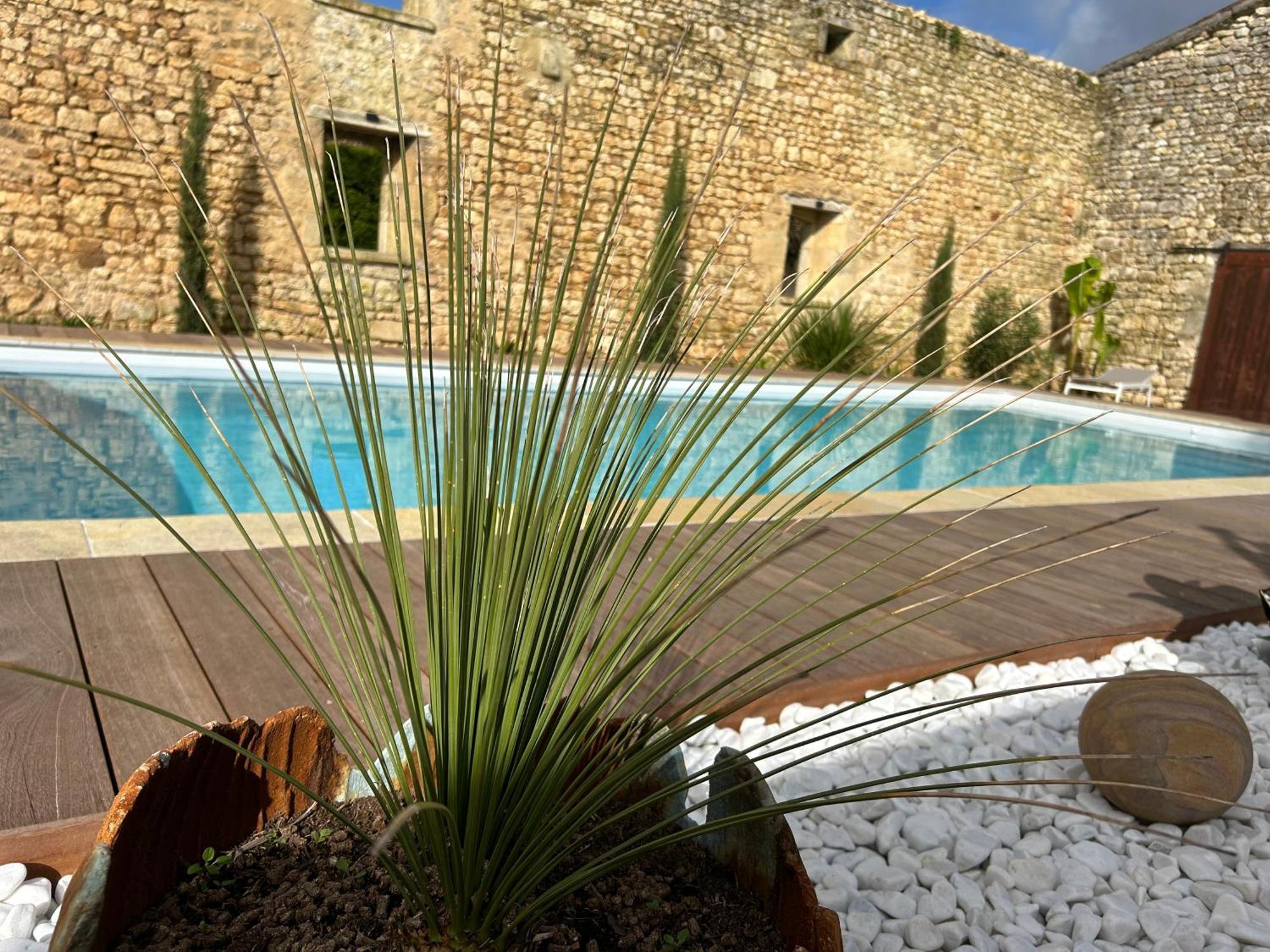 Domaine De La Gemoliere Bed & Breakfast Gemozac ภายนอก รูปภาพ